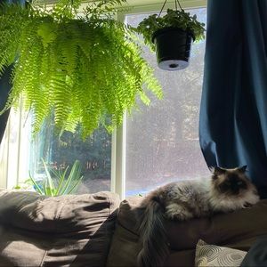 Meet your Posher, Meredith & maddie